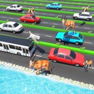 Animal Pets Traffic Highway Cross