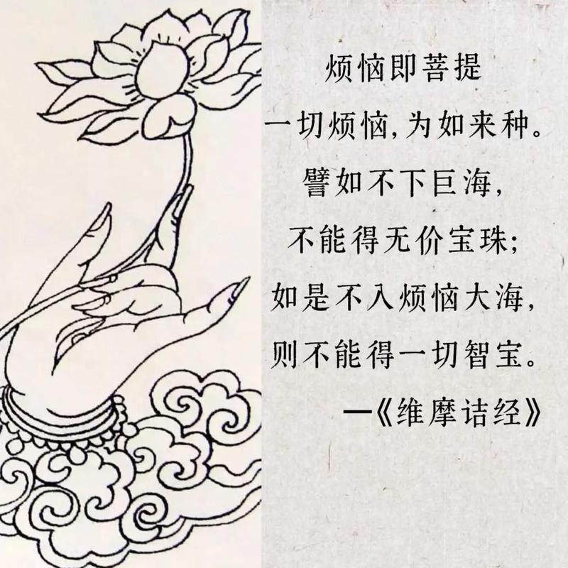 无相心法怎么用[图2]