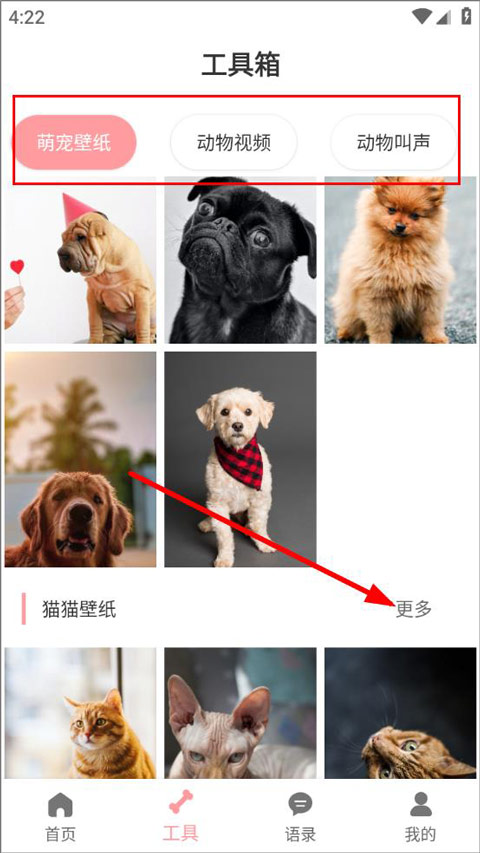 狗语翻译器免费版[图3]