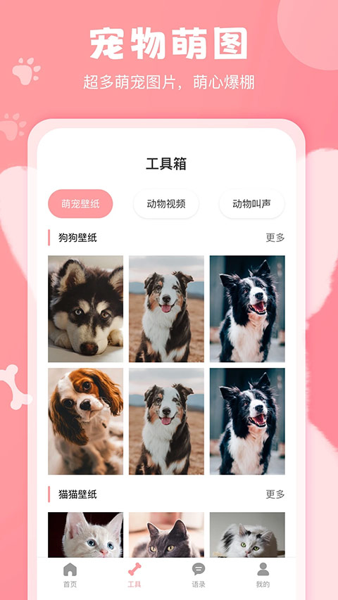 狗语翻译器免费版截图3