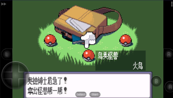 口袋妖怪蓝宝石[图3]