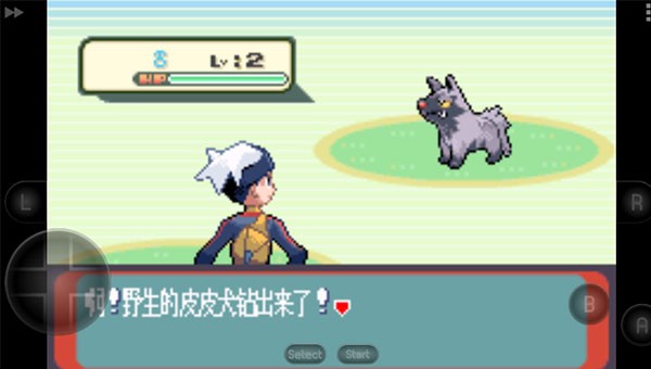 口袋妖怪蓝宝石截图1