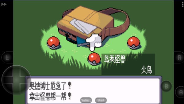 口袋妖怪蓝宝石截图2