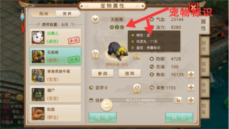 问道宠物心法怎么加