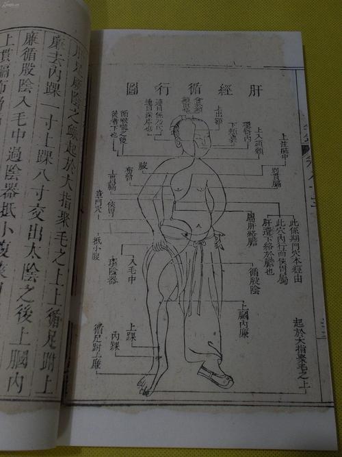 怎么使用经系心法[图1]