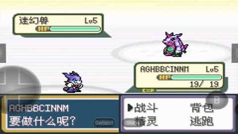 口袋妖怪暴龙版[图1]