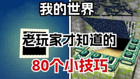 我的世界到底在玩什么[图2]