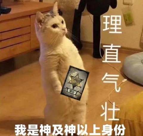 狼人杀自证强神什么意思[图1]