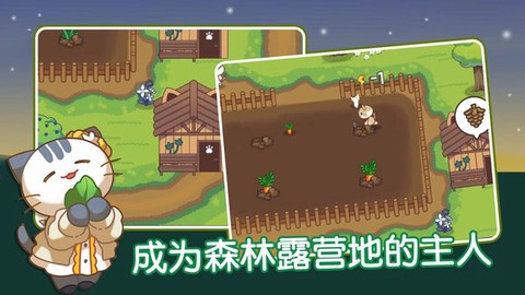 猫咪森林中文版截图1