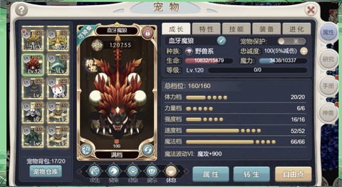魔力宝贝魔宠什么好[图1]