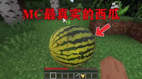 我的世界怎么种西瓜[图2]