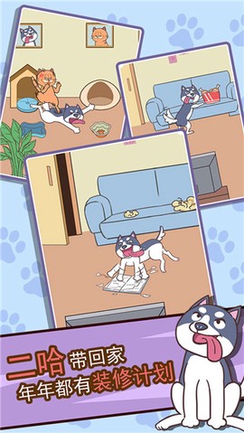 二哈去哪嗨[图1]