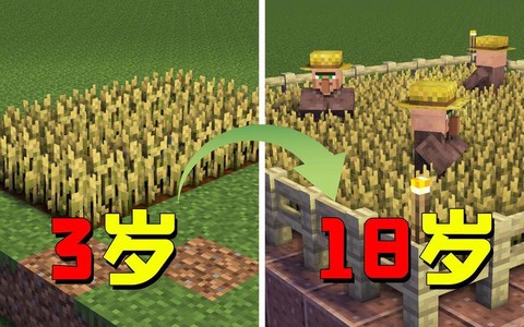 我的世界里怎么种地