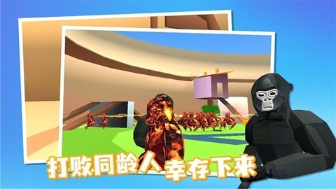 奇帕猩猩[图1]