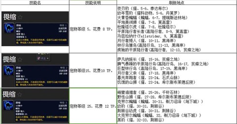 魔兽世界猎人加什么属性