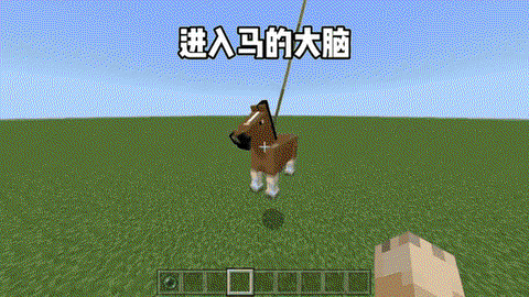 我的世界马吃什么繁殖