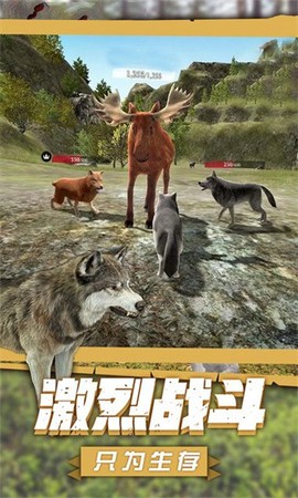 狼王狩猎模拟截图1