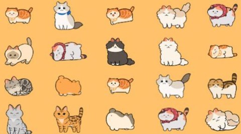 懒懒猫咪村庄截图2