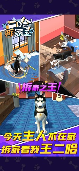 二哈拆家王截图3