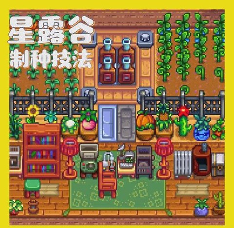 星露谷物语怎么买种子