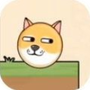 救救狗狗