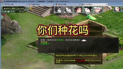 大话西游种花是什么