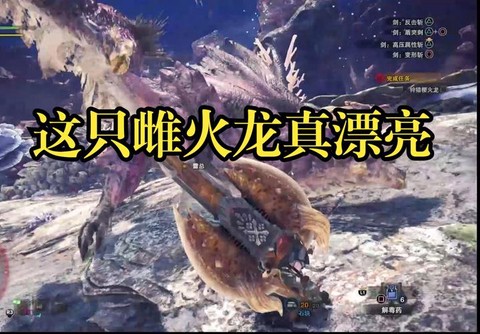 怪物猎人ol雌火龙的红玉有什么用
