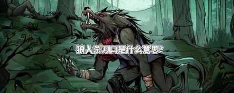 狼人杀麦序是什么意思