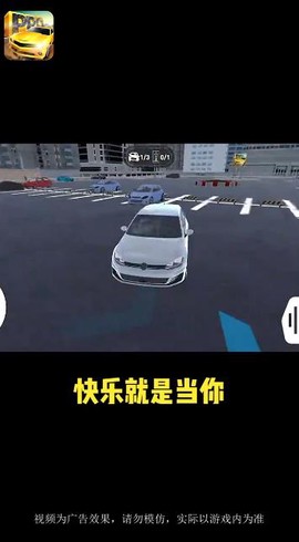 停车大神截图1