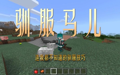 我的世界怎么驯服马手机版[图1]