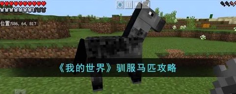 我的世界怎么驯服马手机版[图2]