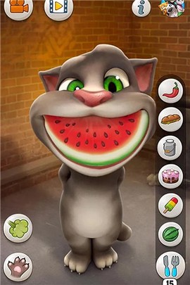 会说话的汤姆猫免费版[图1]
