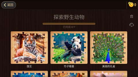 魔法拼图2020截图1