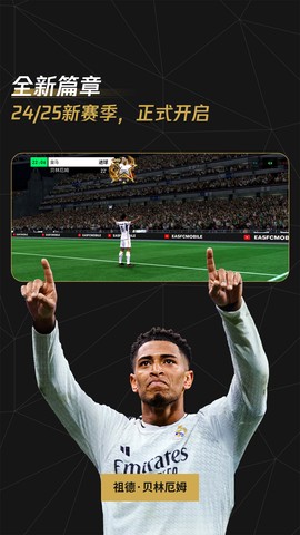 FC足球世界截图2
