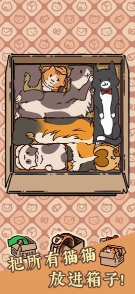 盒子猫截图2