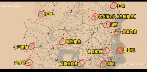 荒野大镖客2如何钓鱼[图1]